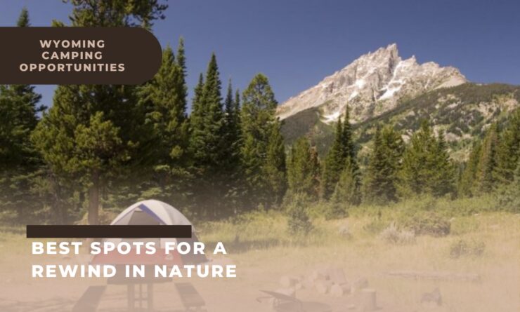 Best Spots for a Rewind in Nature