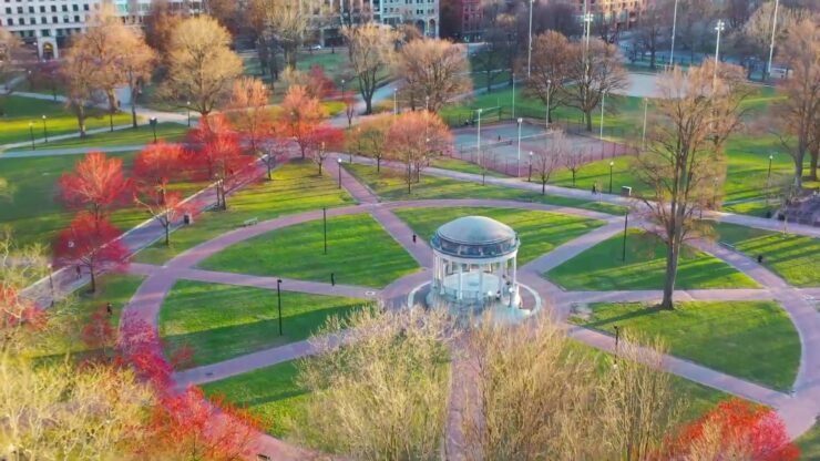 Boston Common Dog Recreation Space