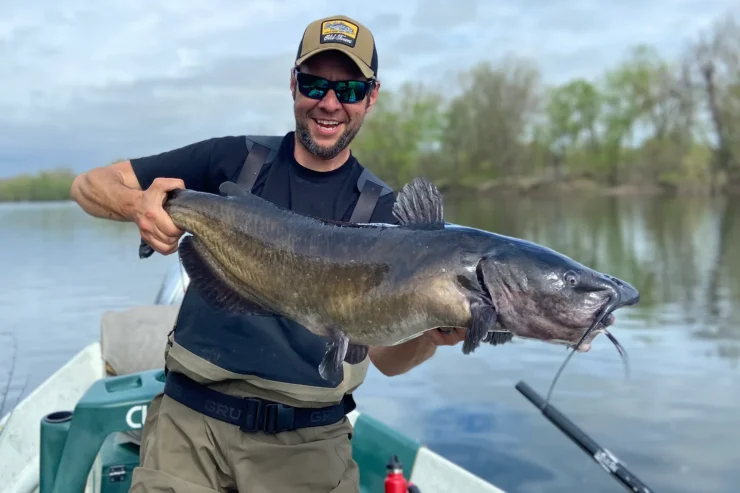 Channel Catfish