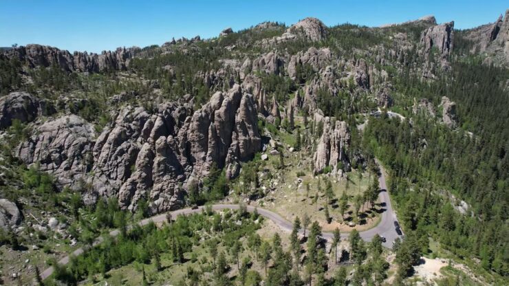 Custer State Park