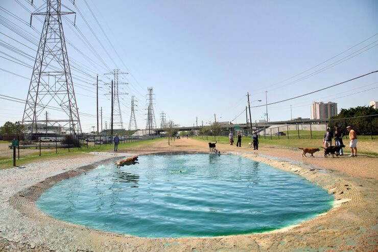Danny Jackson Dog Park