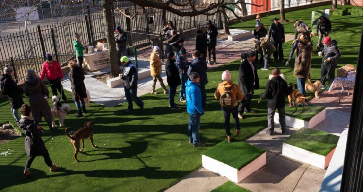 DeFilippo Playground Dog Park