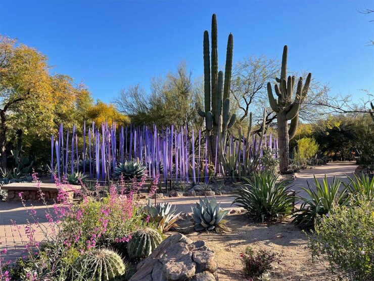 Desert Botanical