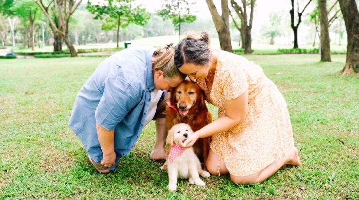 Dog-Friendly Accommodations