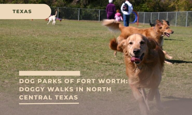 Dog Parks of Fort Worth