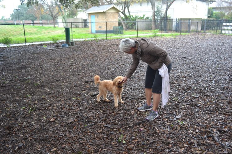 Ervan Chew dog Park