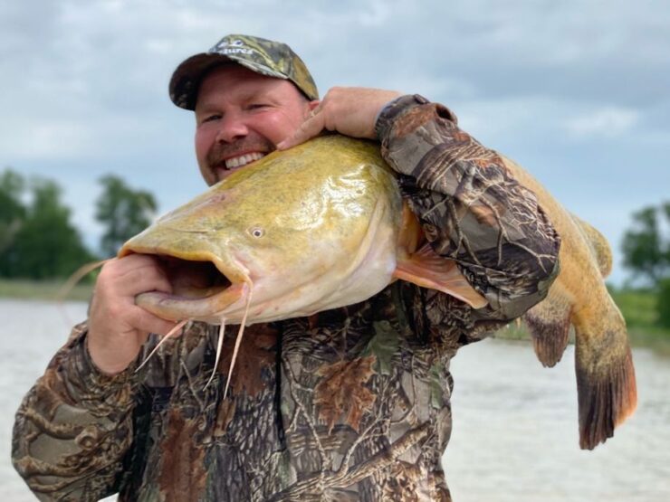 Flathead Catfish