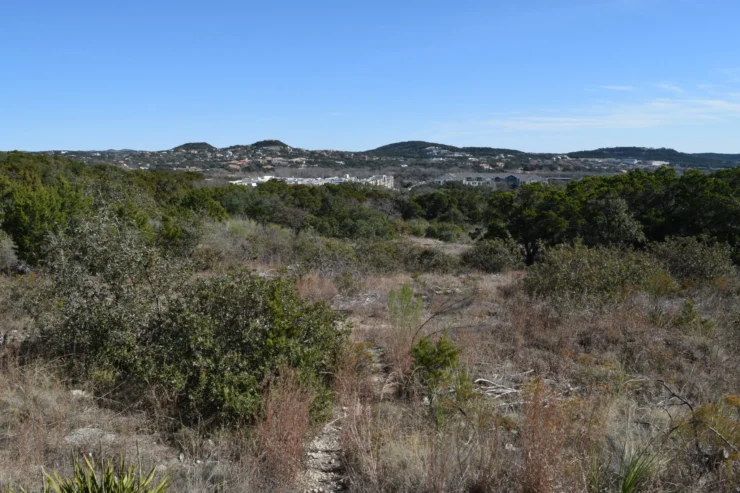 Friedrich Wilderness Park