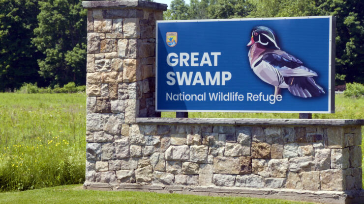 Great Swamp National Wildlife Refuge
