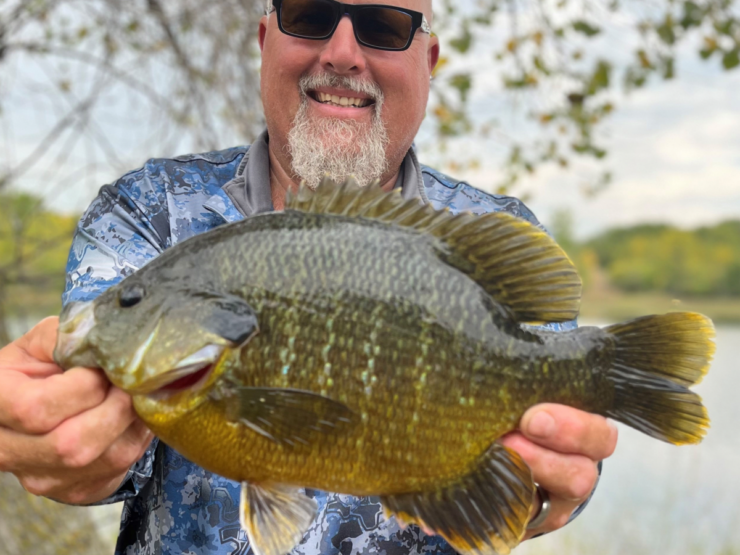 Green Sunfish