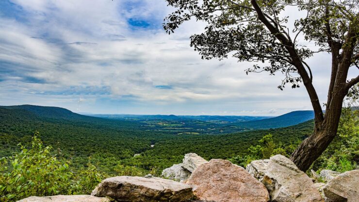 Hawk Mountain Sanctuary