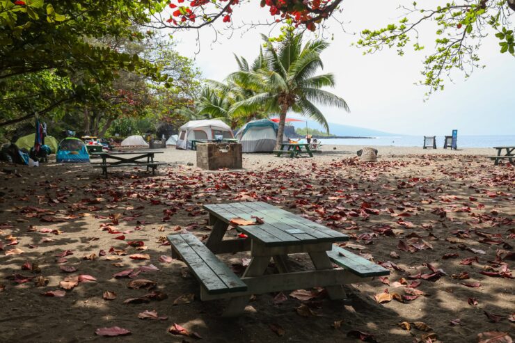 Ho'okena Beach Park, Big Island