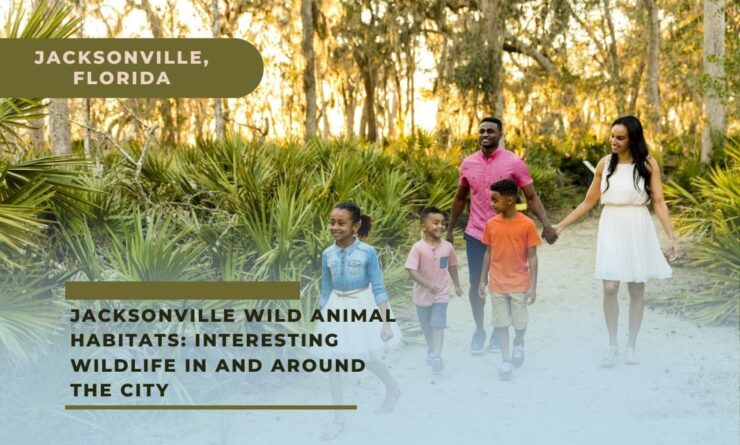 Jacksonville Wild Animal Habitats Interesting Wildlife In and Around the City