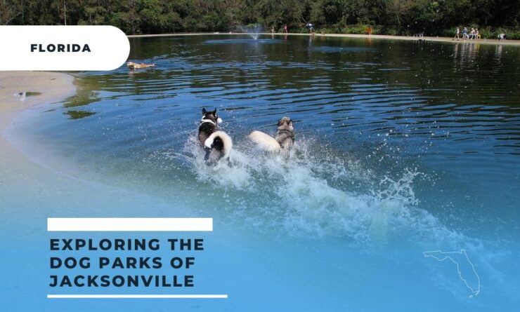 Jacksonville best dog park