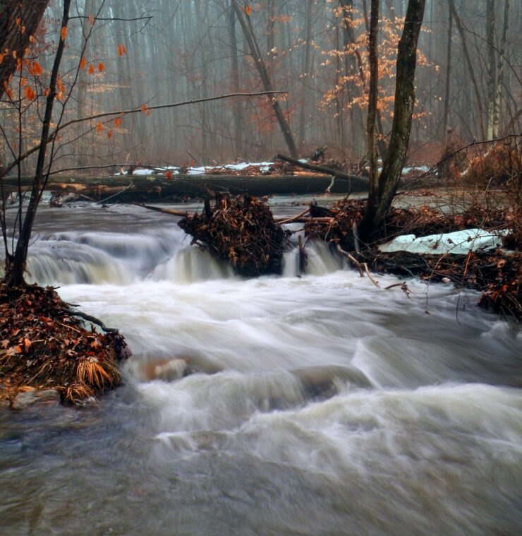 Jacobsburg Environmental Education Center