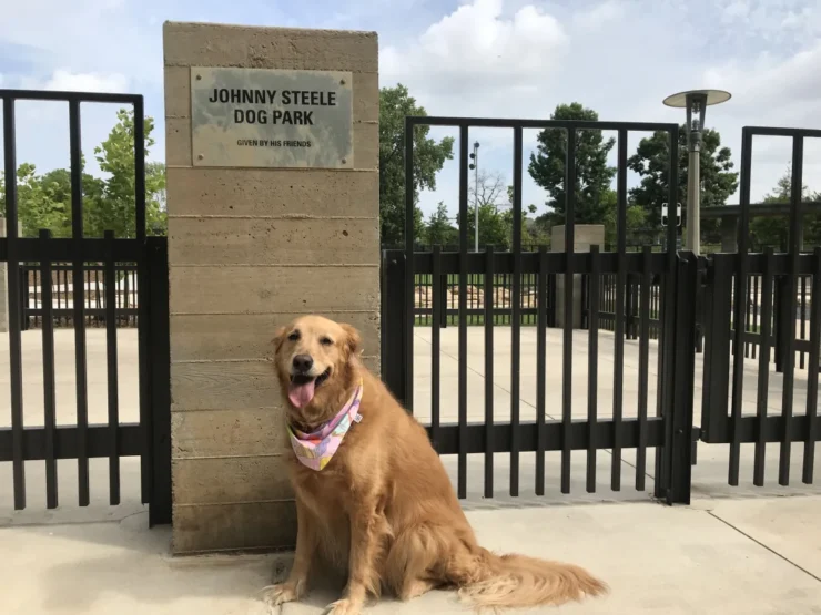 Johnny Steel dog park