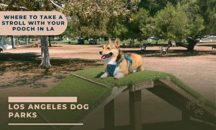 LA Dog Parks
