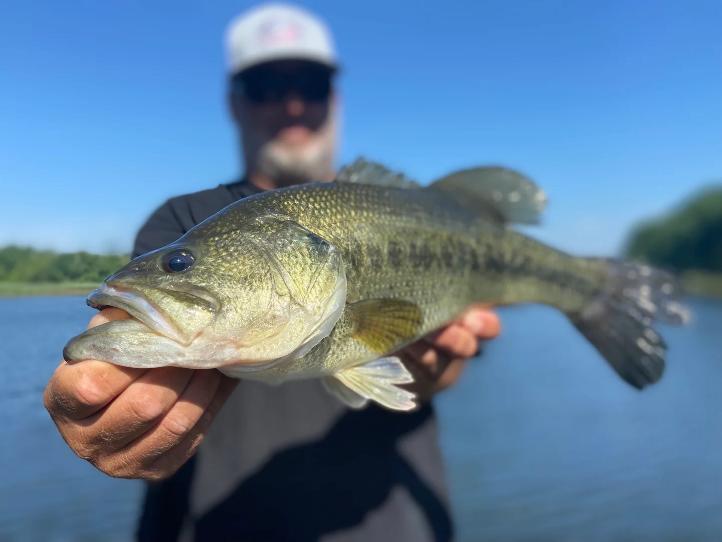 Source: outdoorlife.com