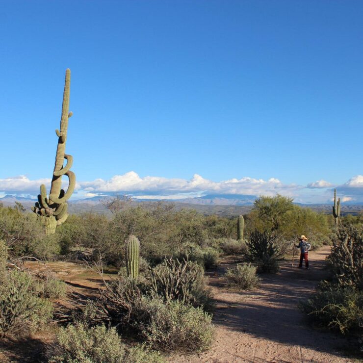 McDowell Mountain Regional Park