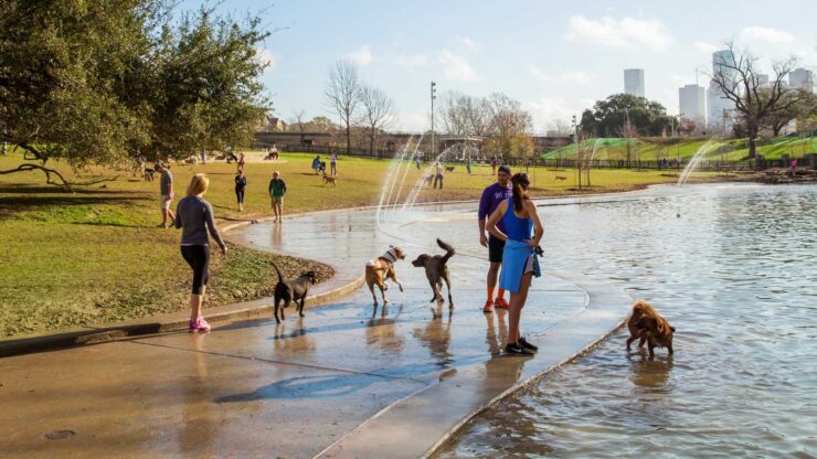 Millie Bush Dog Park