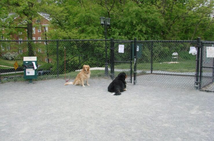 Newark Street Dog Park