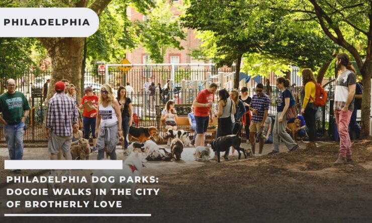 Philadelphia Dog Parks: Doggie Walks in the City of Brotherly Love