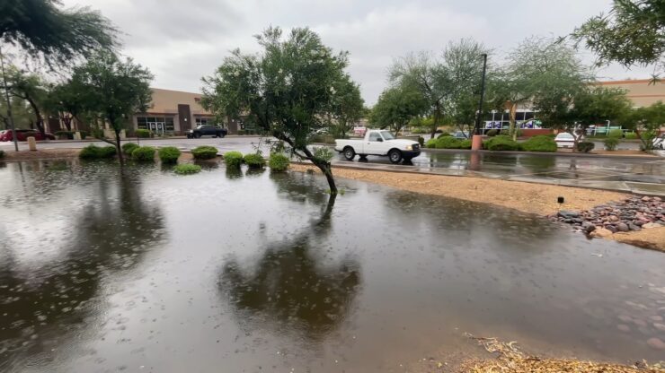 Phoenix Monsoon