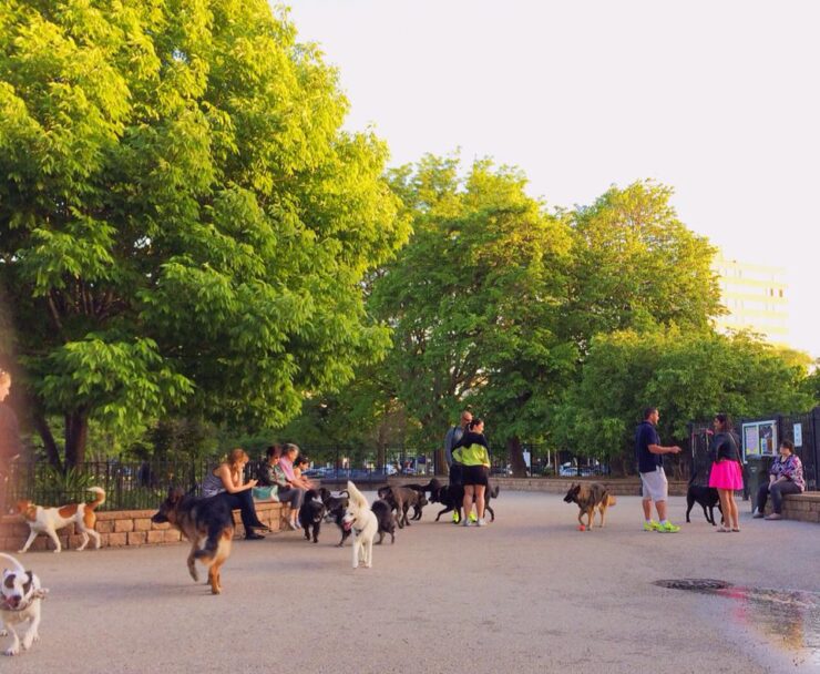 Puptown Dog Park