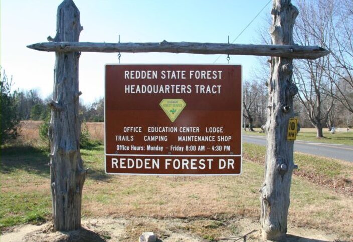 Redden State Forest