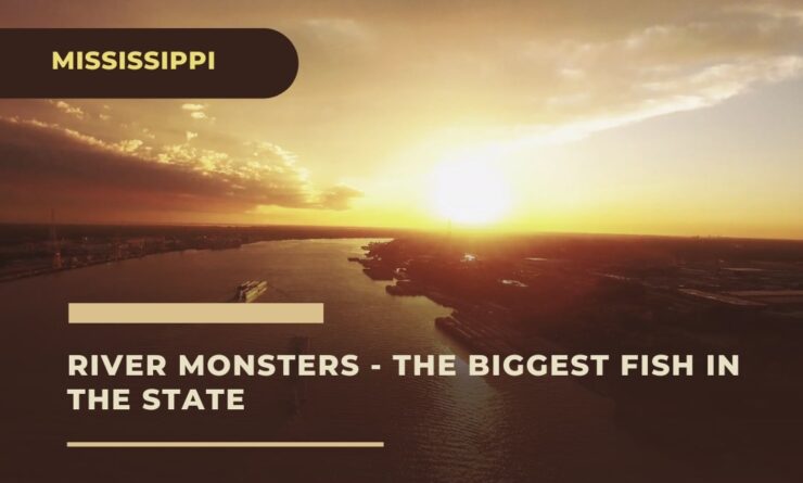 River Monsters Mississippi - The Biggest Fish in The State