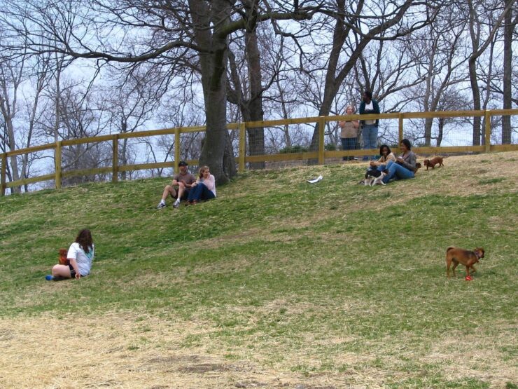 Ronan Park Off-Leash Area