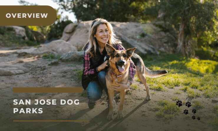 San jose dog park