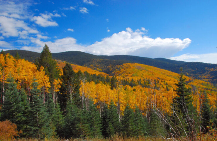 Santa Fe National Forest