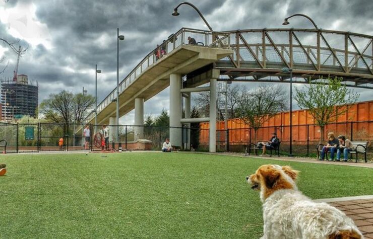 Schuylkill River Park Dog Run