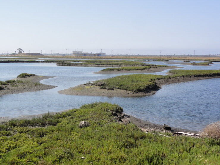 Seal Beach National Wildlife Refuge