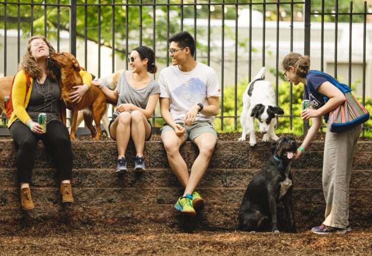 Seger Dog Park