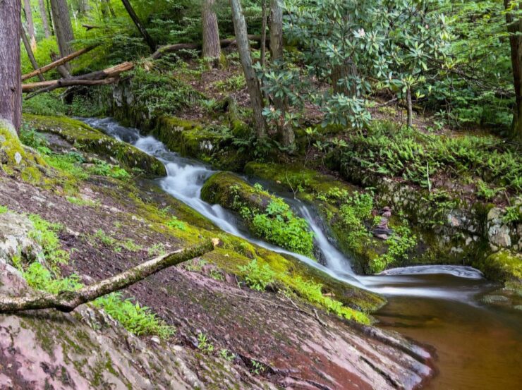 Tillman Falls
