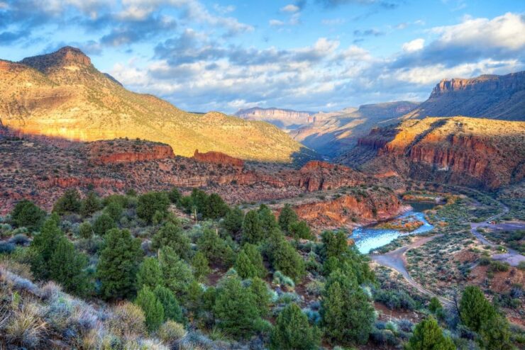 Tonto-National-Forest-Arizona