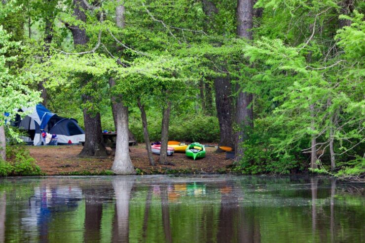 Trap Pond State Park