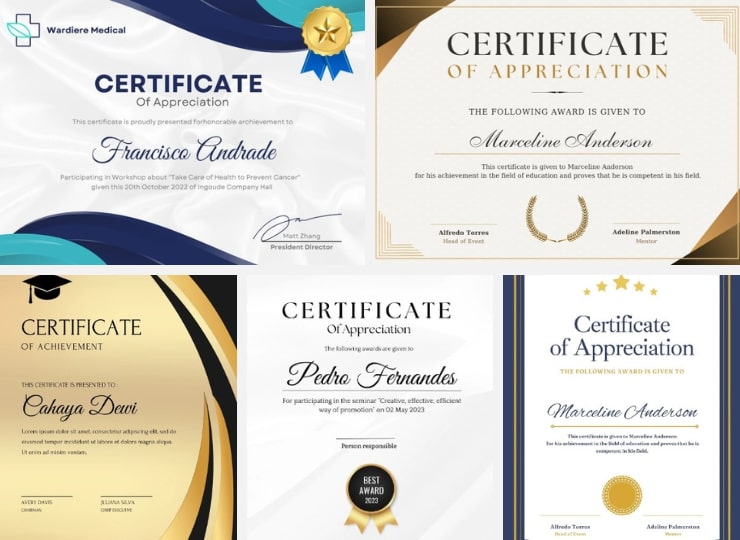 Usage Ideas for Elegant Certificates