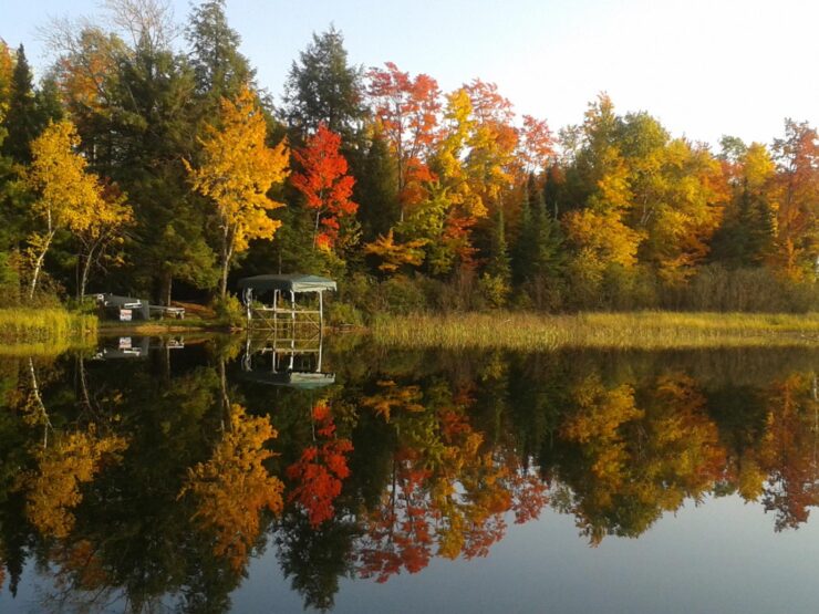 Wisconsin Northwoods