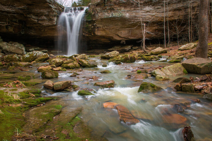 bork falls