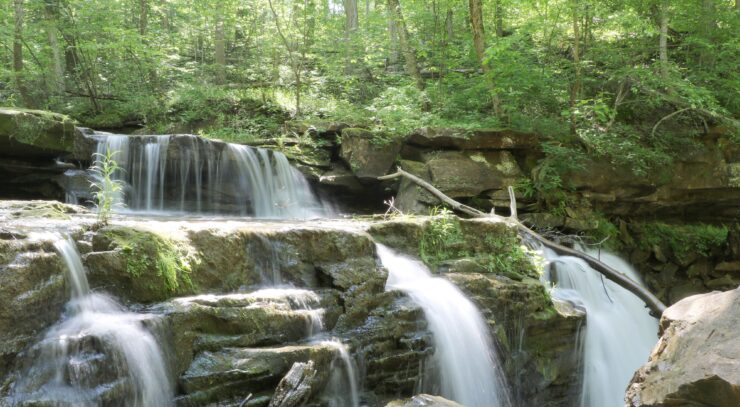 cedar falls