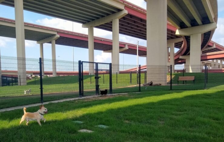 dog Park Bush Central Barkway