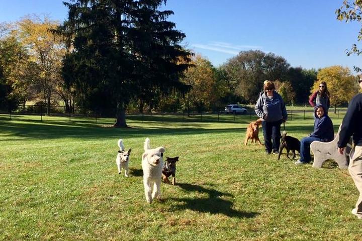 dog park
