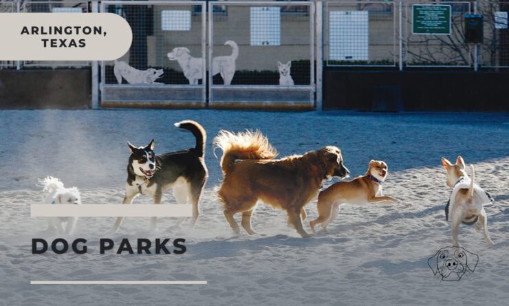 dog parks arlington