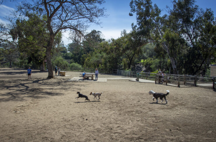 dog parks balboa