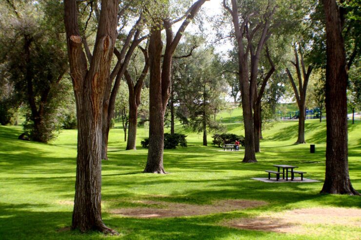 doyle park