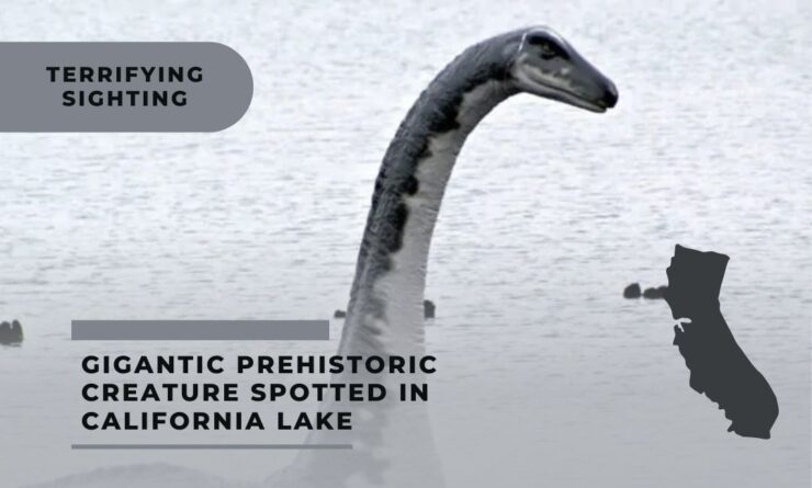 gigantic prehistoric creature spotted in californian lake