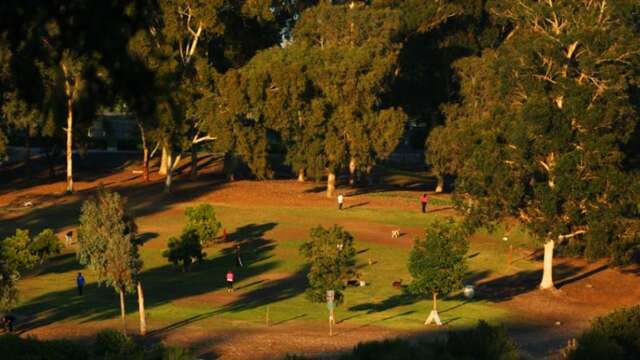 morley field